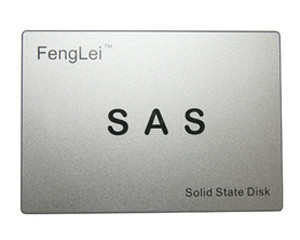 FengLei F9016ϵ SAS(120GB)