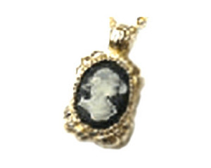 PNY Bling attache CA008��8GB��ͼƬ