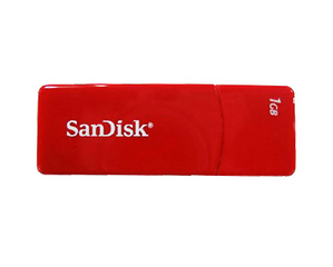 ���� Sandisk �콷��4GB��ͼƬ