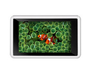 ������ �¹ⱦ�� PM5936��8GB��ͼƬ