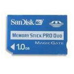  SANDISK Memory Stick Pro Duo1GB 濨/