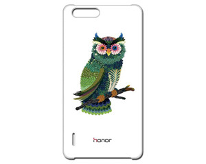 Ϊҫ6 PlusֻͼƬ