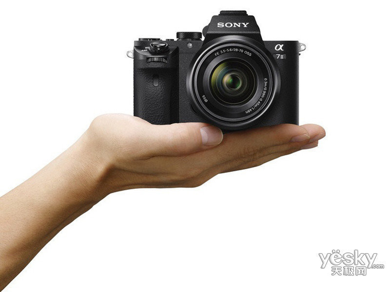 ����ILCE-7�׻�(24-70mm��70-200mm)