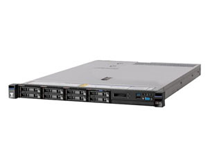 IBM System x3550 M5(5463i25)