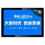 ഺС Pro(128GB/12.2Ӣ)