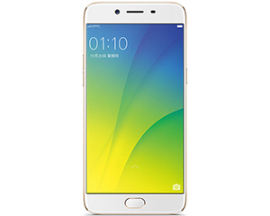 OPPO R9s Plus(64GB/ȫͨ)