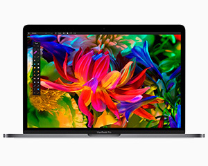 ƻ¿Macbook Pro 13Ӣ(MLL42CH/A)