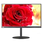 ThinkVision T24m Һʾ/