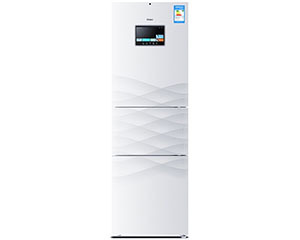 BCD-251WDCPU1(S)