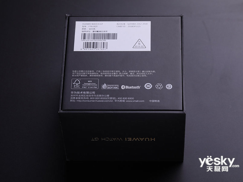 ��ΪWatch GT ������