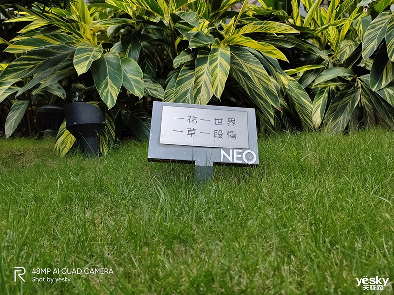 realme Q(6GB/64GB/ȫ��ͨ)