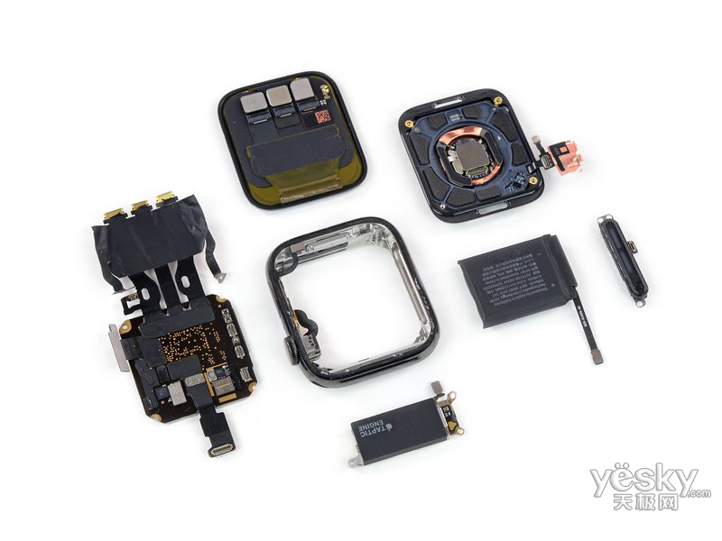 ƻ��Watch Series 5(GPS/����������/�ػ�ʽ�˶�����/44mm)