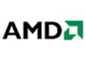 AMD Ryzen R1505G