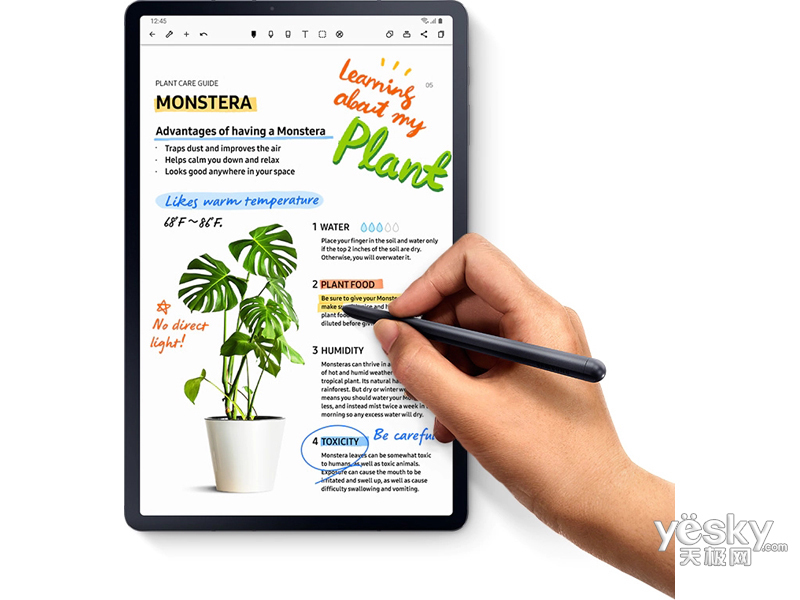 ����Galaxy Tab S7(6GB/128GB/WLAN��)