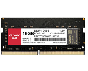 Pro 16GB DDR4 2666(ʼǱ)ͼƬ