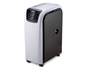 ����PC50-AMF(2ƥ����)