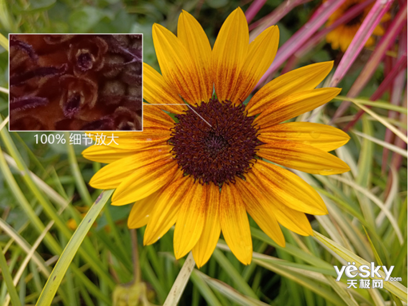 ��ҫX20 SE(8GB/128GB/ȫ��ͨ/5G��)