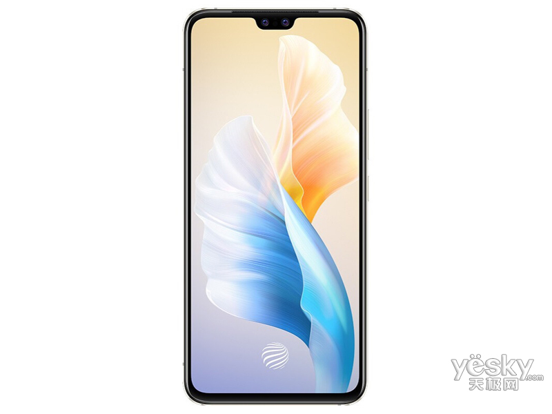 vivo S10 Pro(12GB/256GB/ȫ��ͨ/5G��)