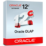ORACLE 12c(标准版 1CPU) 数据库和中间件/ORACLE
