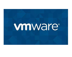 VMware VSAN标准版