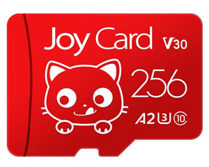 BanQ JOY Card�쿨 256GBͼƬ
