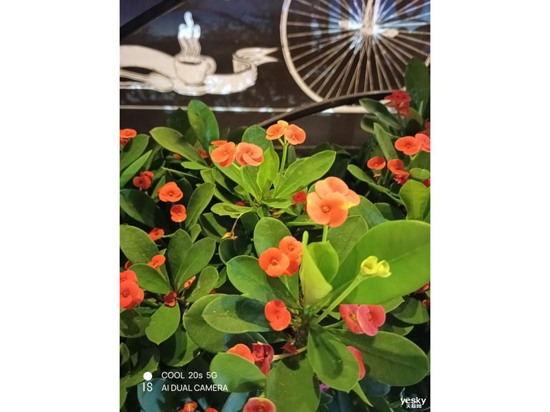 ����COOL 20s(6GB/128GB/ȫ��ͨ)