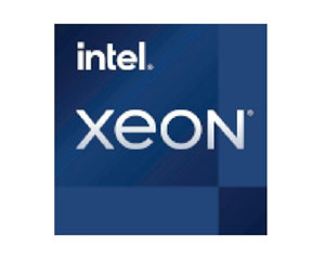 Intel Xeon E-2378ͼƬ