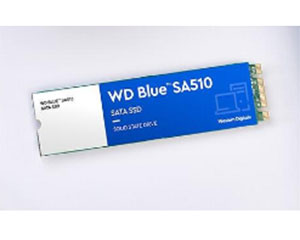 Blue SA510 SATA M.2(1TB)