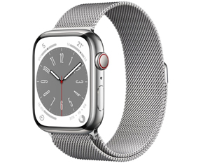 苹果Apple Watch Series 8银色不锈钢表壳米兰尼斯表带 银色 蜂窝网络 41mm