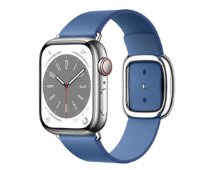 苹果Apple Watch Series 8银色不锈钢表壳现代风扣式表带 湛蓝色 小号+蜂窝网络 41mm