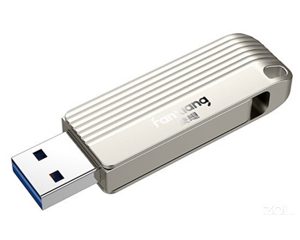 ����F313��256GB��