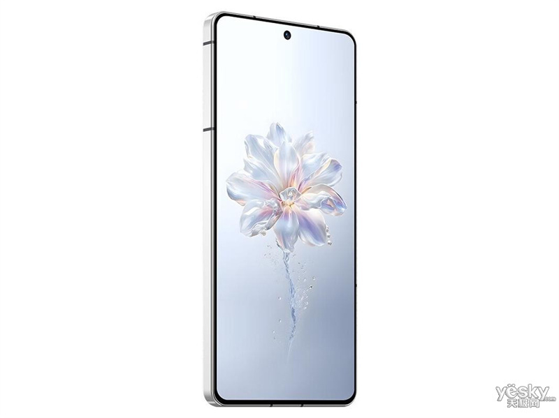 Ŭ����Z50S Pro(12GB/1TB)