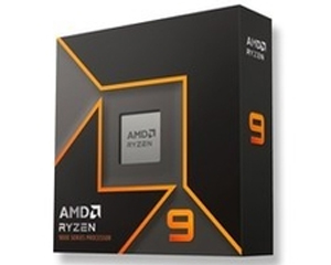 AMD Ryzen 9 9900X