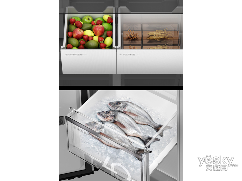 TCL �䲼������ƽǶ�Ʊ�����-R455T9-UQB